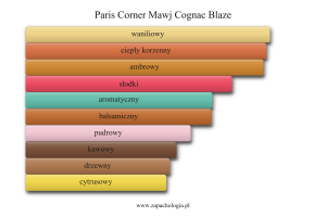 Paris Corner Mawj Cognac Blaze — akordy zapachowe