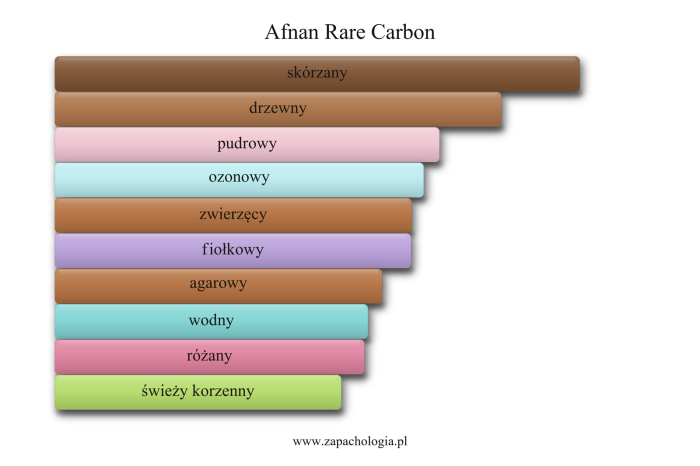 Afnan Rare Carbon — akordy zapachowe