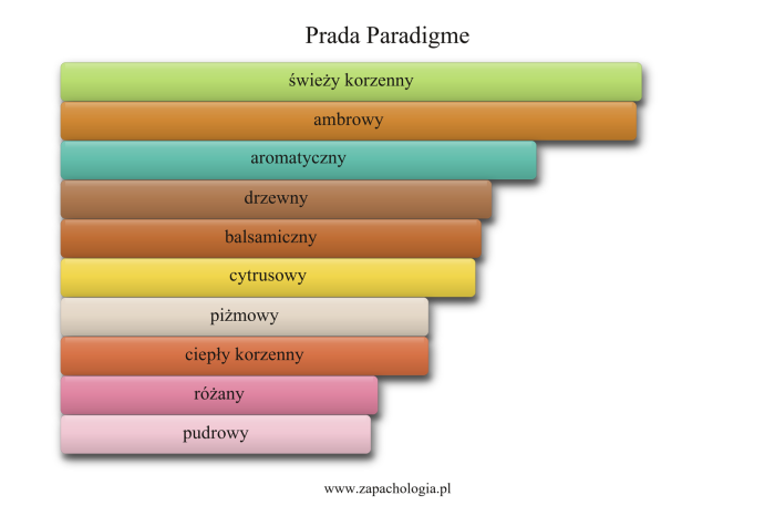 Prada Paradigme — akordy zapachowe