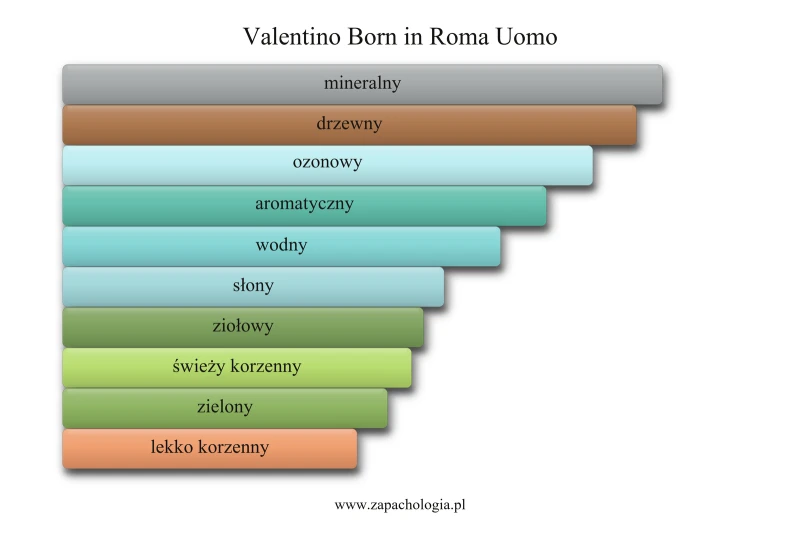 Valentino Born in Roma Uomo — akordy zapachowe