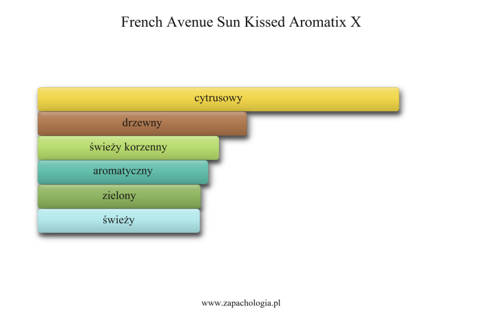 French Avenue Sun Kissed Aromatix X — akordy zapachowe