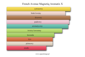 French Avenue Magnetiq Aromatix X — akordy zapachowe