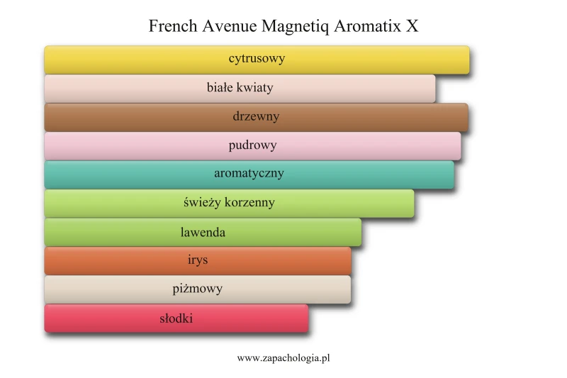 French Avenue Magnetiq Aromatix X — akordy zapachowe