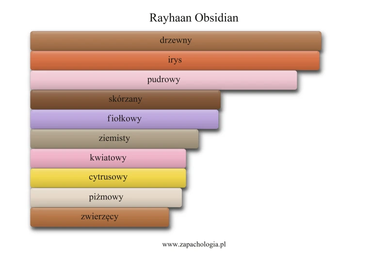 Rayhaan Obsidian — akordy zapachowe