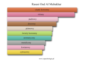 Rasasi Oud Al Mubakhar — akordy zapachowe