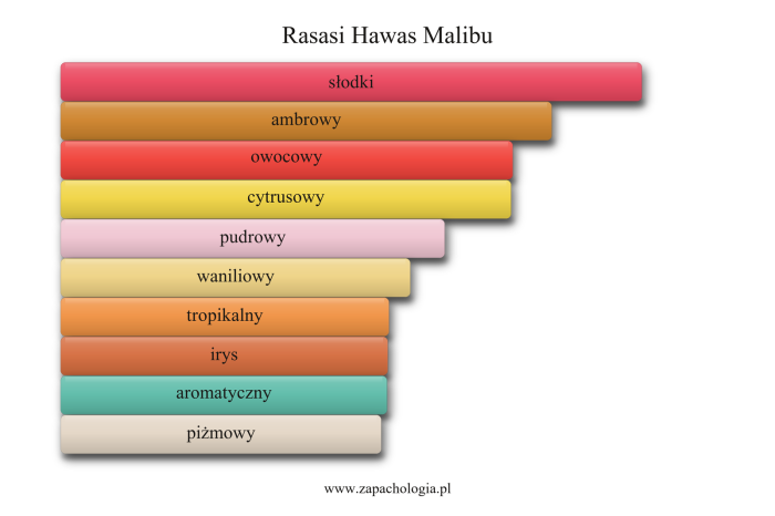 Rasasi Hawas Malibu — akordy zapachowe