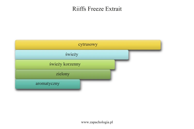 Riiffs Freeze Extrait — akordy zapachowe