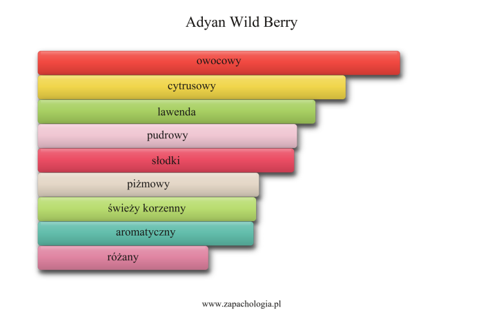 Adyan Wild Berry — akordy zapachowe