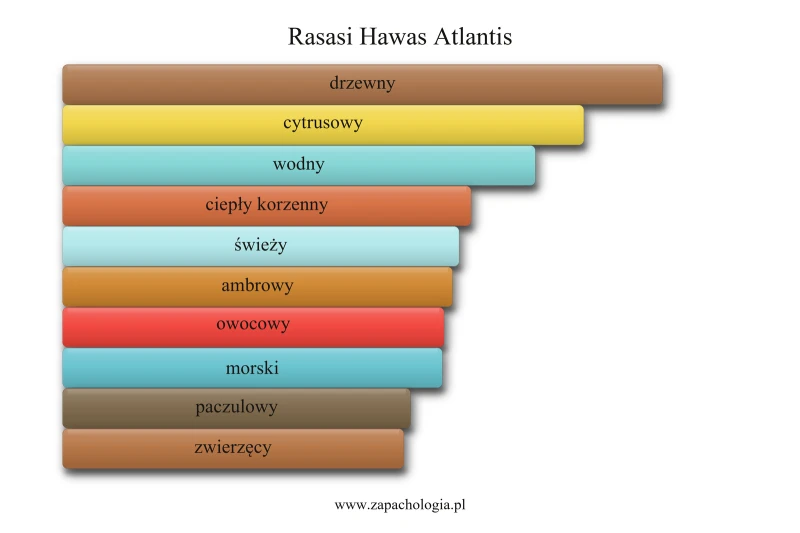 Rasasi Hawas Atlantis — akordy zapachowe