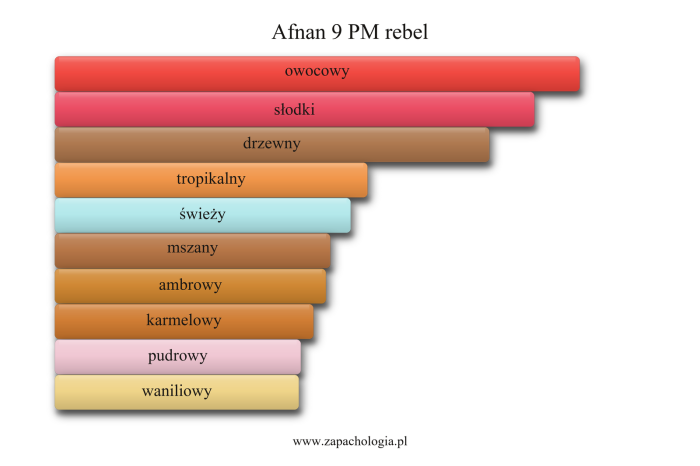 Afnan 9 PM rebel — akordy zapachowe