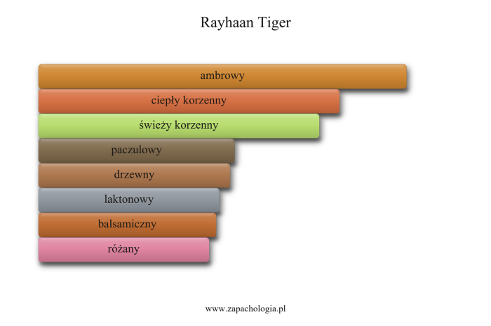 Rayhaan Tiger — akordy zapachowe