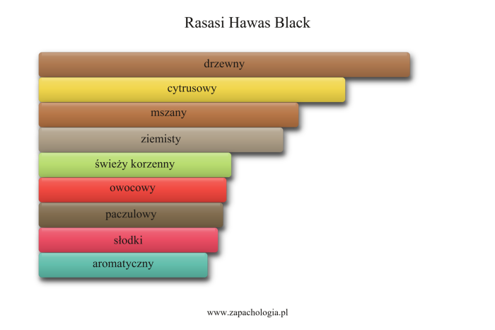 Rasasi Hawas Black — akordy zapachowe