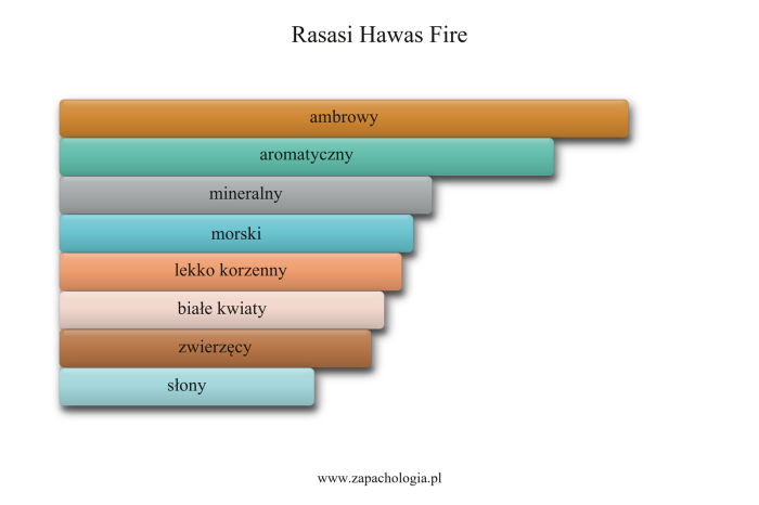 Rasasi Hawas Fire — akordy zapachowe