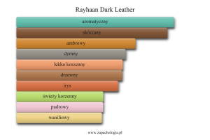 Rayhaan Dark Leather — akordy zapachowe