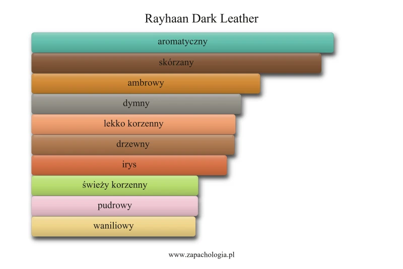 Rayhaan Dark Leather — akordy zapachowe