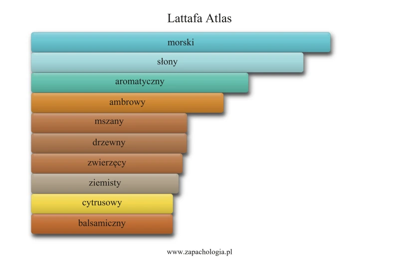 Lattafa Atlas — akordy zapachowe