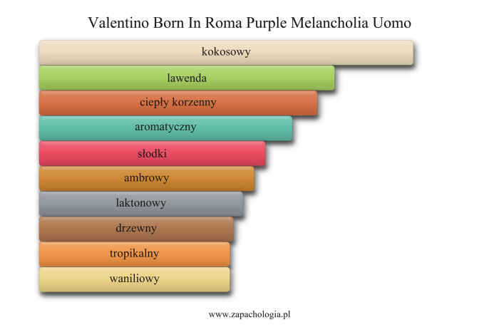 Valentino Born In Roma Purple Melancholia Uomo — akordy zapachowe