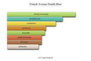 French Avenue Zenith Blue — akordy zapachowe