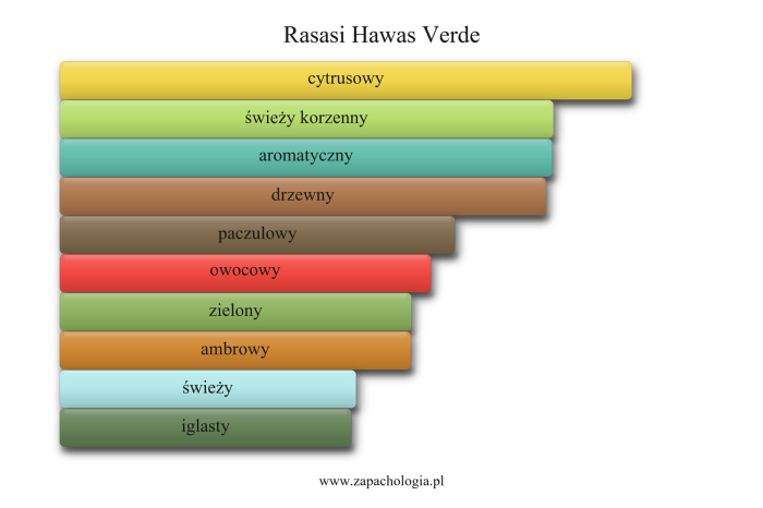 Rasasi Hawas Verde — akordy zapachowe