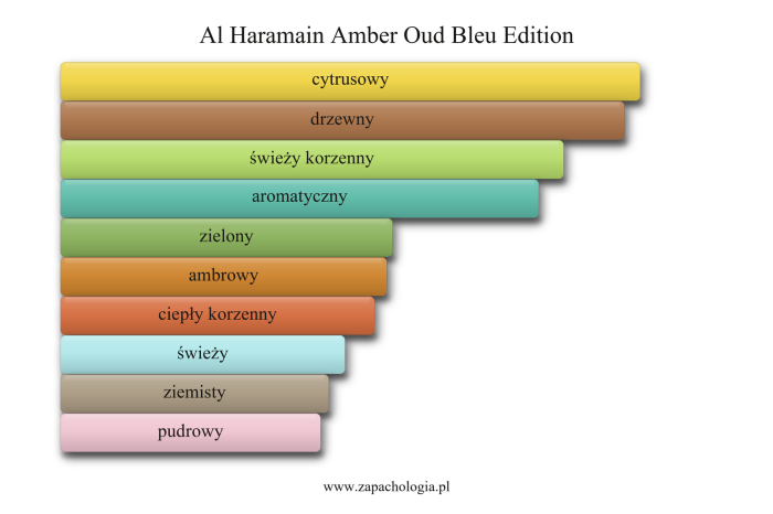 Al Haramain Amber Oud Bleu Edition — akordy zapachowe