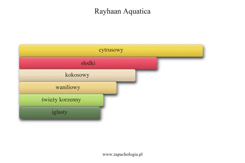 Rayhaan Aquatica — akordy zapachowe