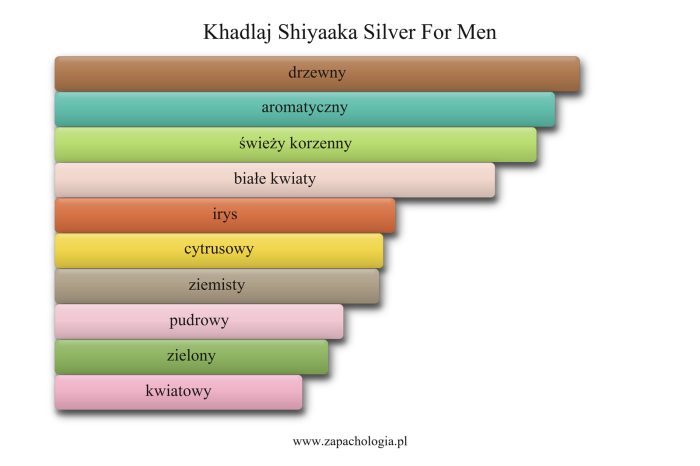 Khadlaj Shiyaaka Silver For Men — akordy zapachowe