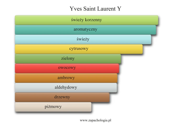 Yves Saint Laurent Y — akordy zapachowe