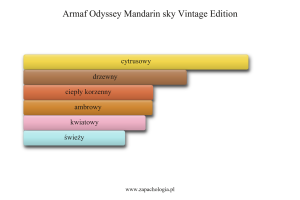Armaf Odyssey Mandarin sky Vintage Edition — akordy zapachowe