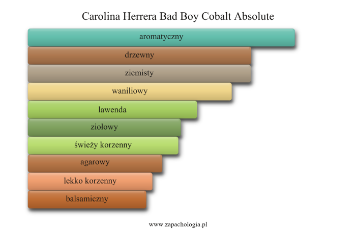 Carolina Herrera Bad Boy Cobalt Absolute — akordy zapachowe