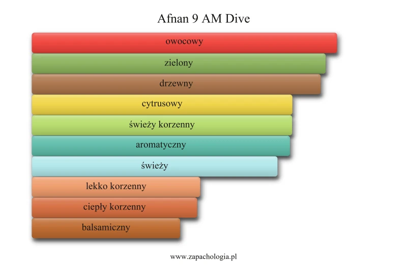 Afnan 9 AM Dive — akordy zapachowe