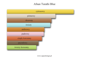 Afnan Turathi Blue — akordy zapachowe