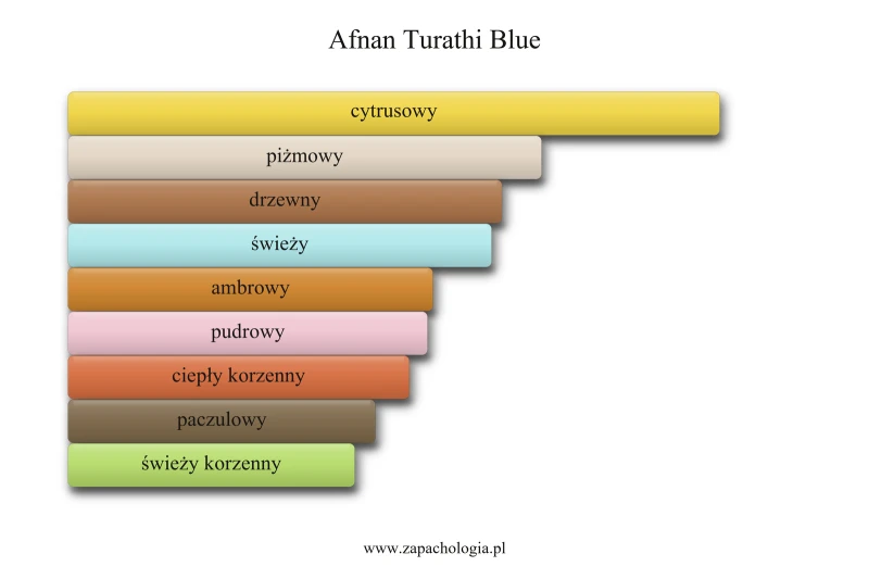 Afnan Turathi Blue — akordy zapachowe
