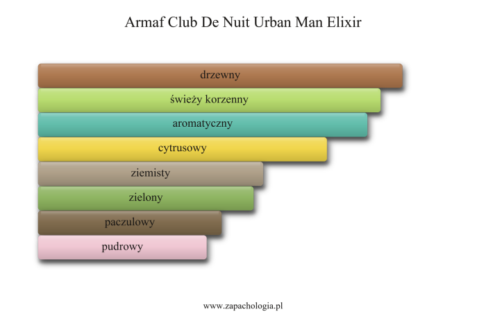 Armaf Club De Nuit Urban Man Elixir — akordy zapachowe