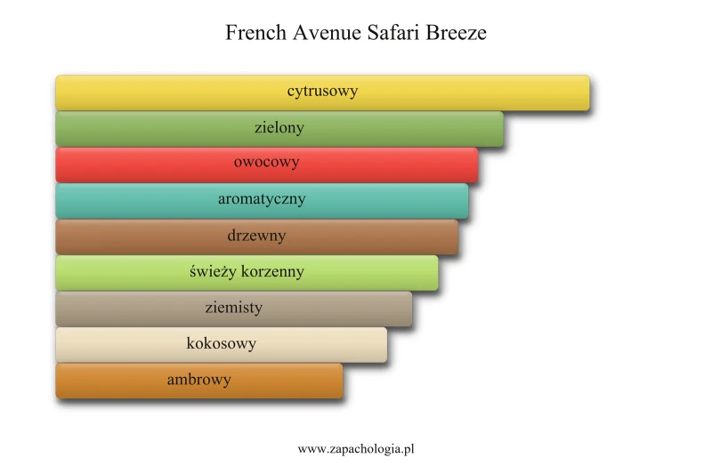 French Avenue Safari Breeze — akordy zapachowe