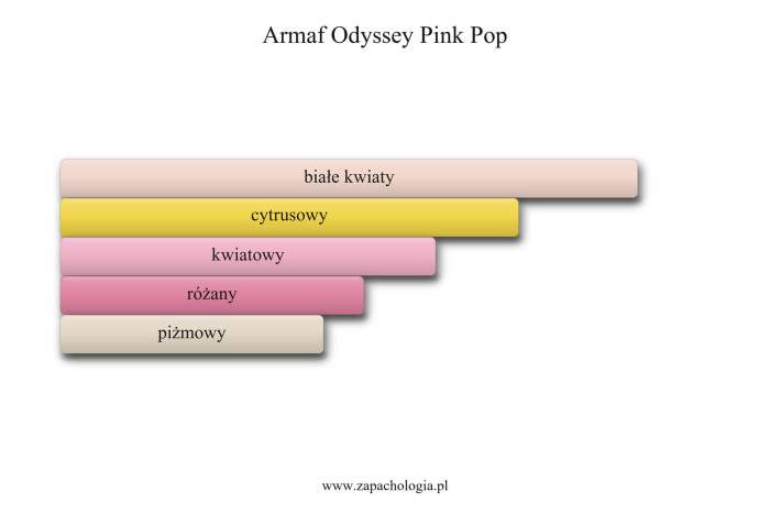 Armaf Odyssey Pink Pop — akordy zapachowe