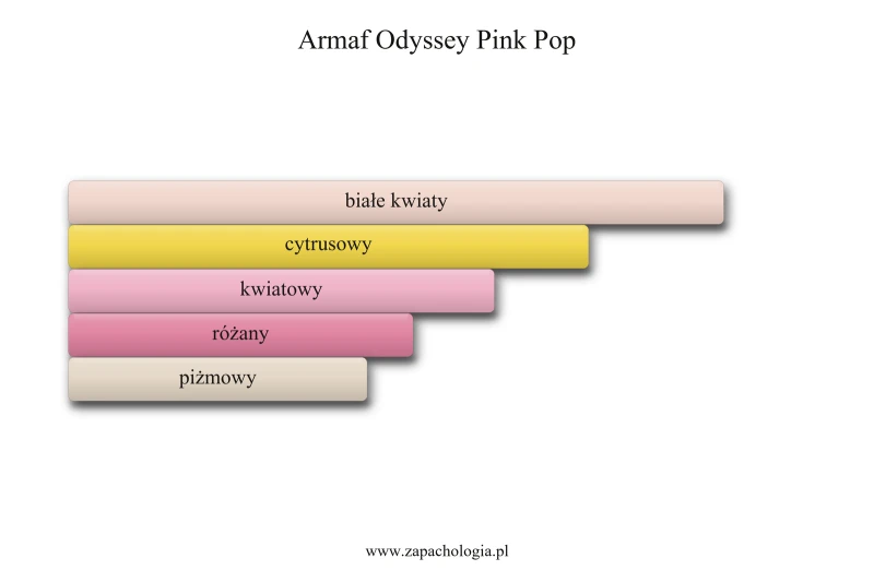 Armaf Odyssey Pink Pop — akordy zapachowe