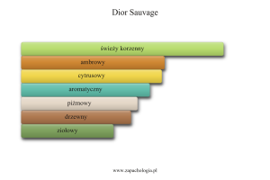 Dior Sauvage Parfum — akordy zapachowe