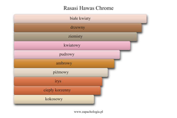 Rasasi Hawas Chrome — akordy zapachowe