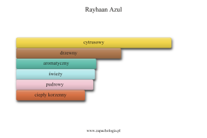 Rayhaan Azul — akordy zapachowe