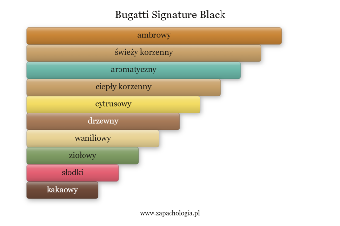 Bugatti Signature Black — akordy zapachowe