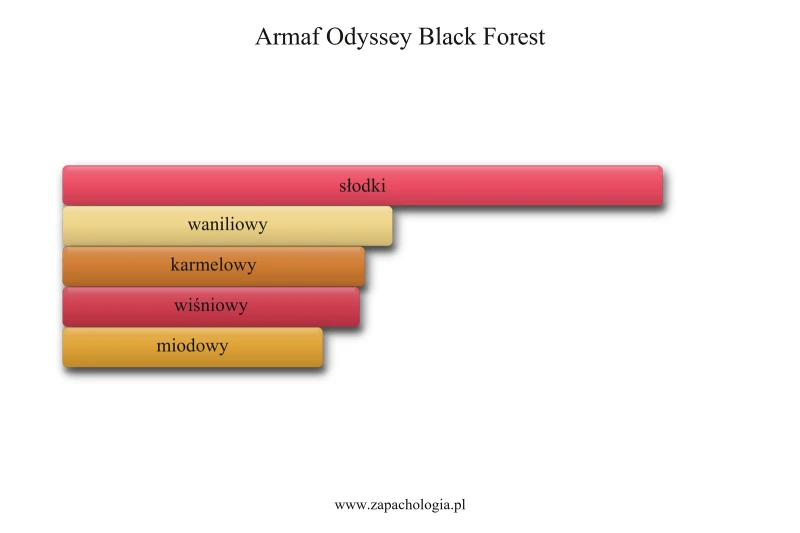 Armaf Odyssey Black Forest — akordy zapachowe