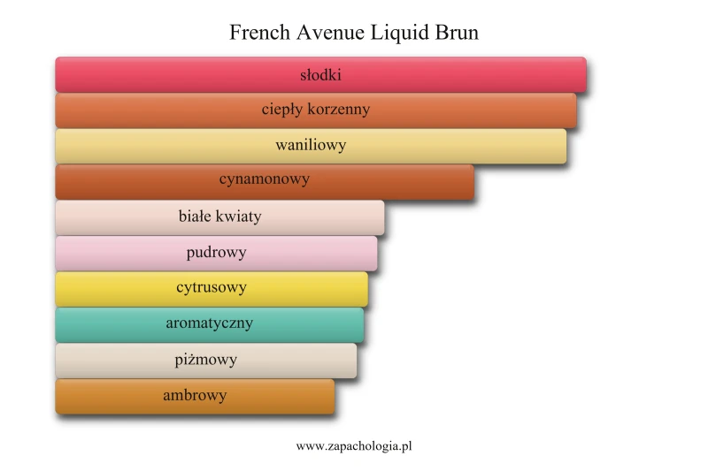 French Avenue Liquid Brun — akordy zapachowe