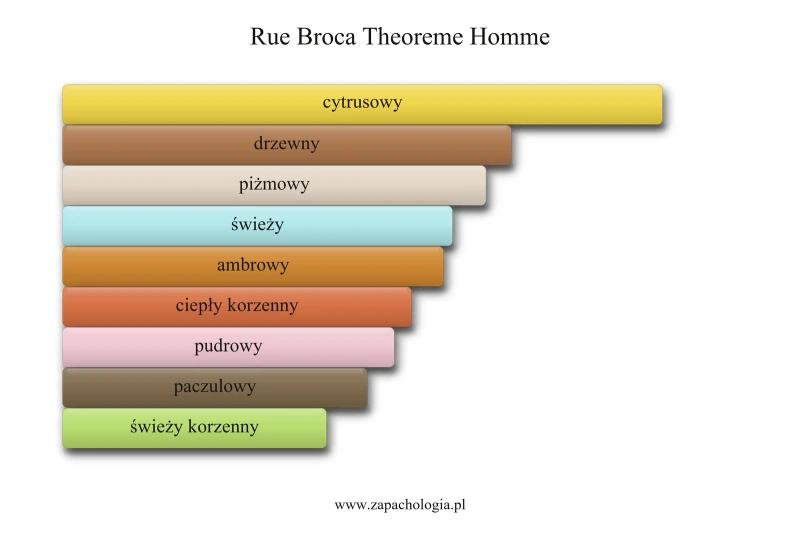 Rue Broca Theoreme Homme — akordy zapachowe