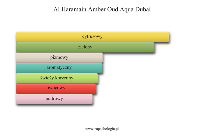Al Haramain Amber Oud Aqua Dubai — akordy zapachowe