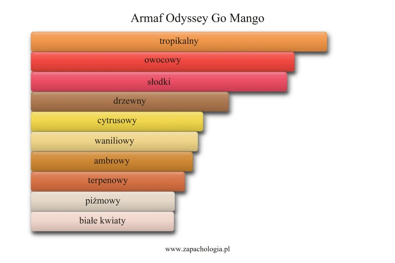Armaf Odyssey Go Mango — akordy zapachowe